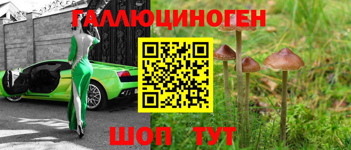 Галлюциногенные грибы Psilocybe Нижневартовск