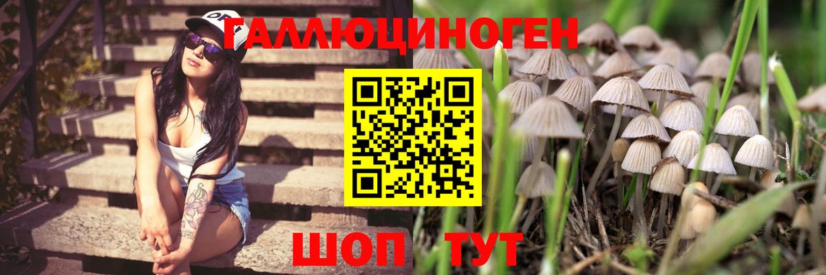 Псилоцибиновые грибы мицелий  Вход с VPN  Нижневартовск 